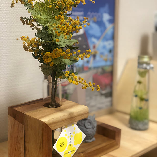 kaya23さんの実例写真