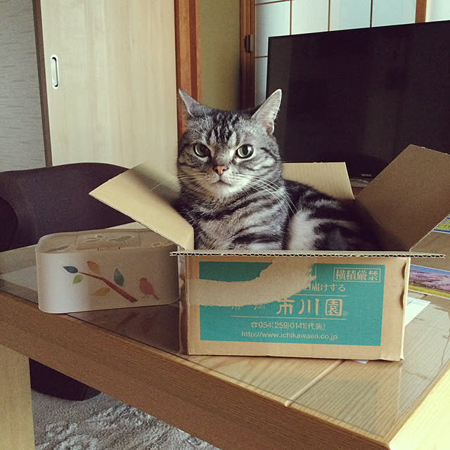 richanさんの実例写真