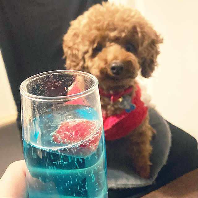 MOMOMAMAさんの実例写真