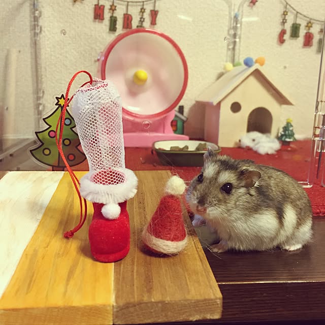 tomomi321さんの実例写真