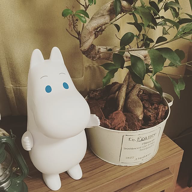hivikiさんの実例写真