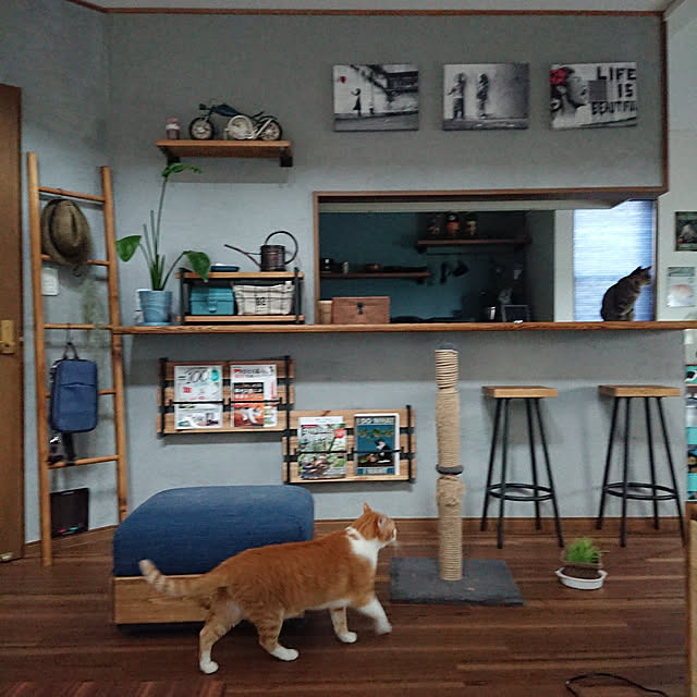 taka-kiさんの実例写真