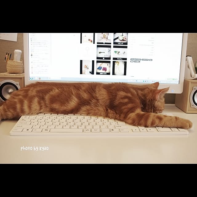 実例写真