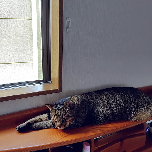 nachiさんの部屋
