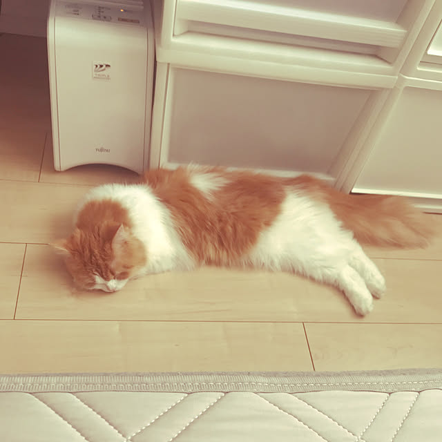 H.Tさんの実例写真
