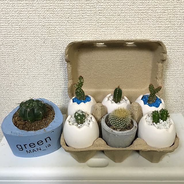 rk5kuuさんの実例写真