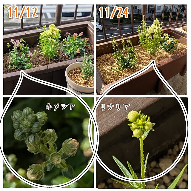 mi-saさんの部屋