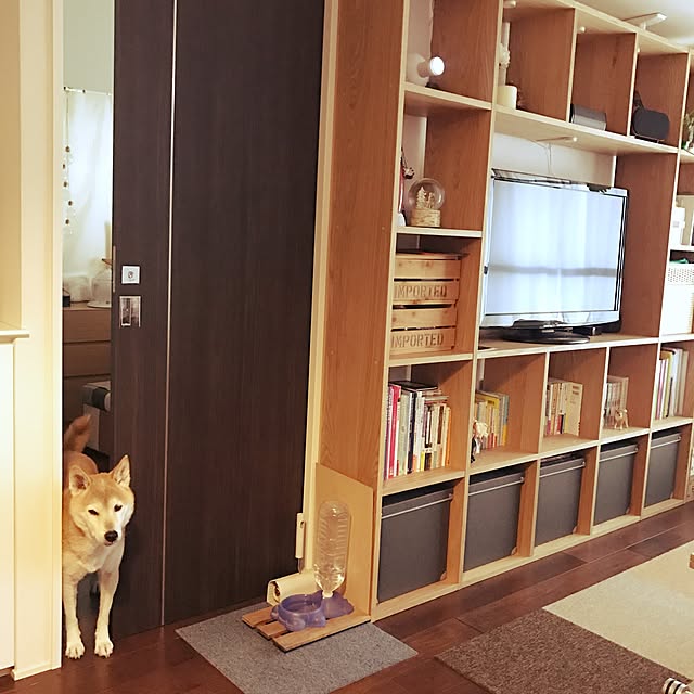 daichingさんの実例写真