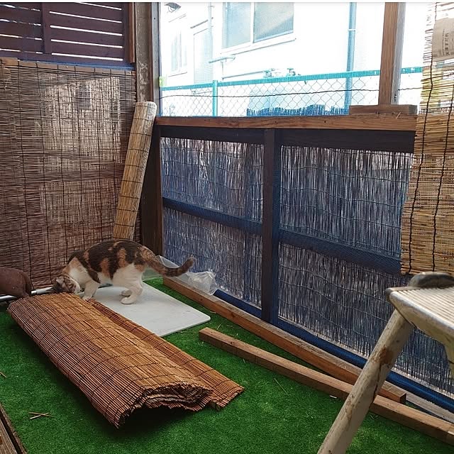 fukuさんの部屋