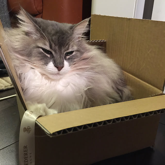 suzuriさんの実例写真