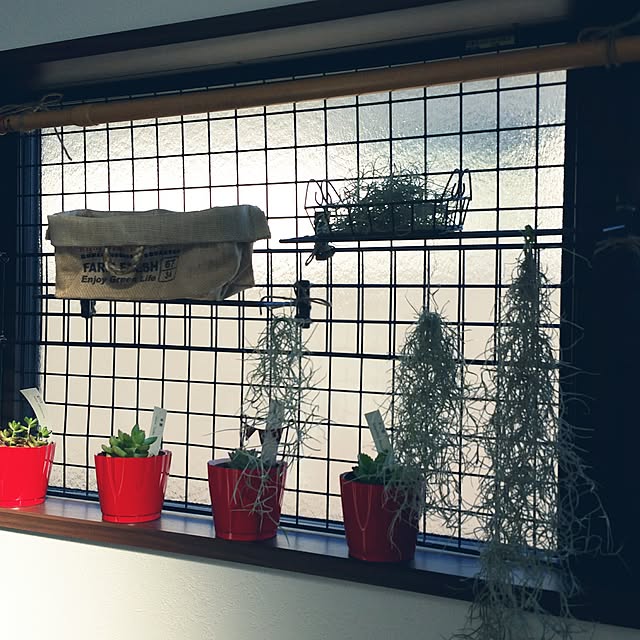 SUNNY-SMILE.rinさんの実例写真