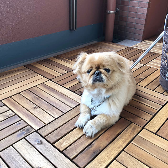 NUIさんの実例写真