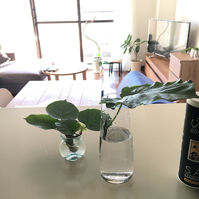 sayaさんの実例写真