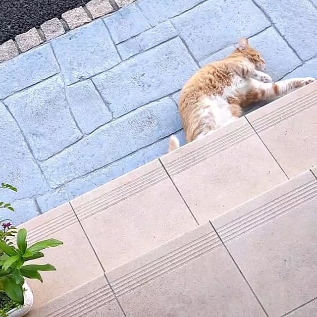 minnieさんの部屋