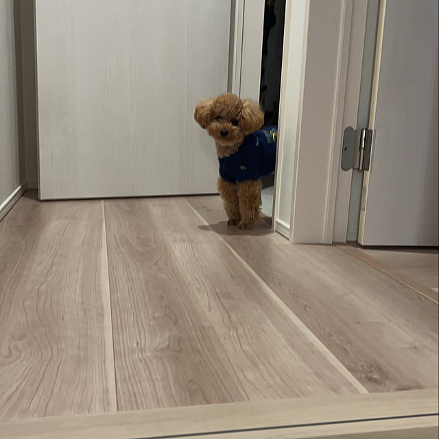 makiさんの実例写真
