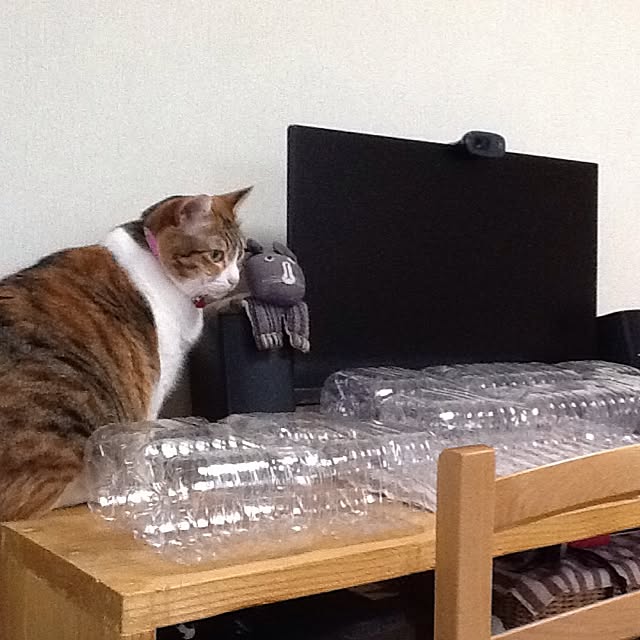 Mikaさんの実例写真