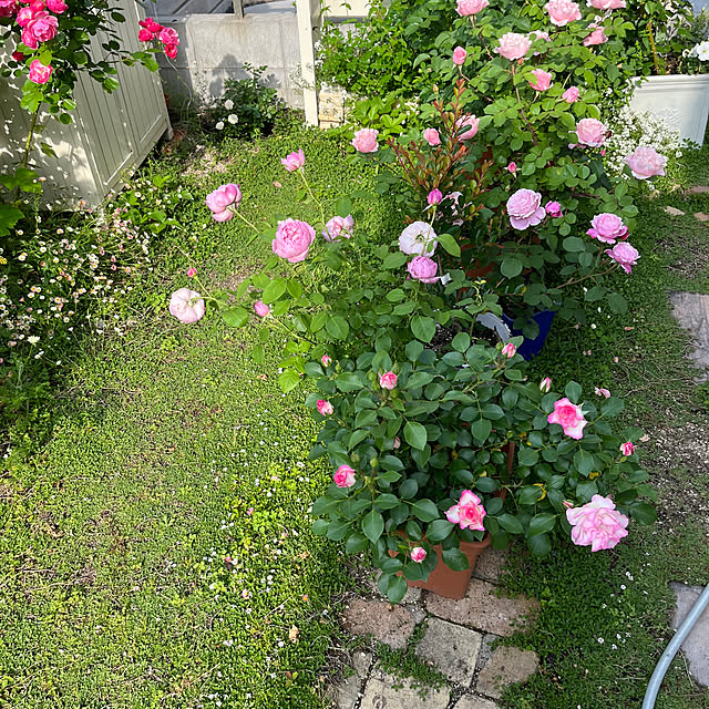 sakuraさんの部屋