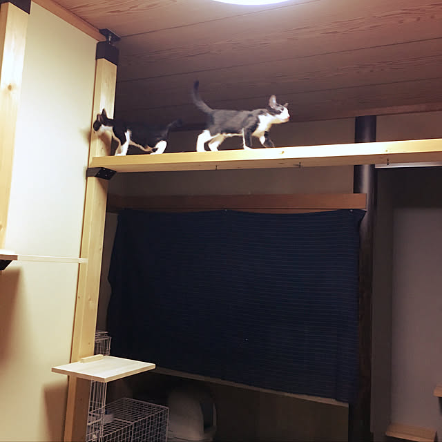 Yukinekoさんの実例写真