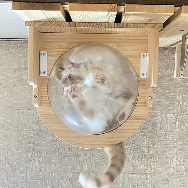mintteaさんの部屋