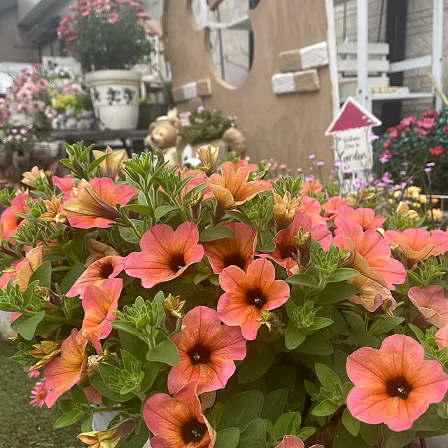 yuki89さんの実例写真