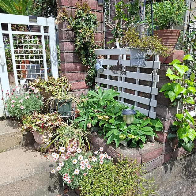 midoriさんの部屋