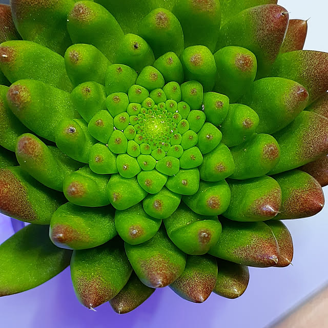 amtさんの実例写真