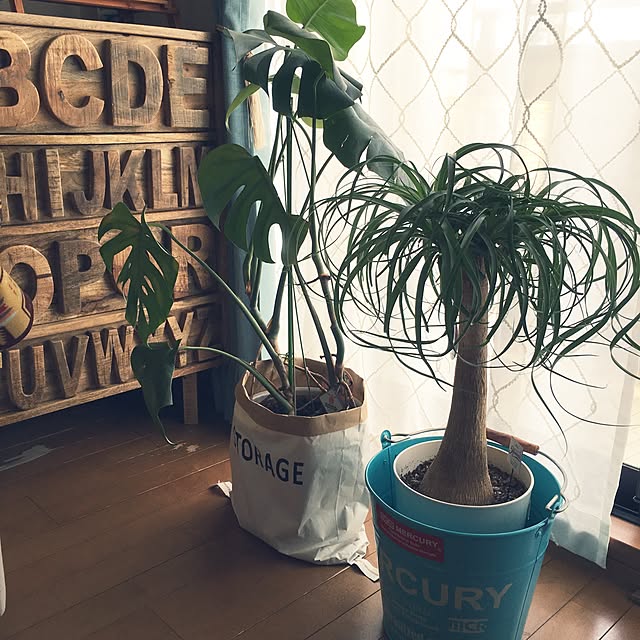 aohanaさんの実例写真