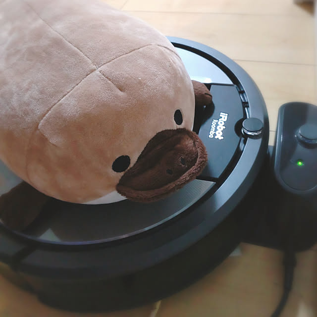 obuobuさんの実例写真