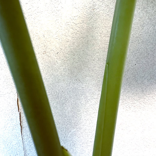 takakoさんの部屋