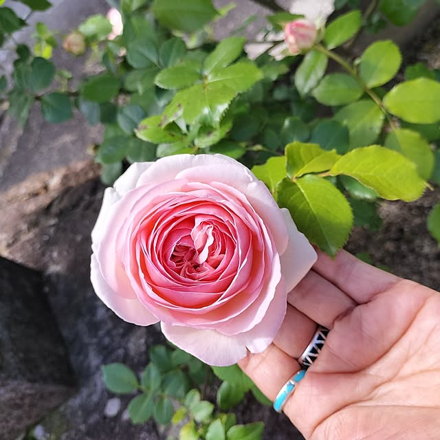 sumimarumiさんの部屋