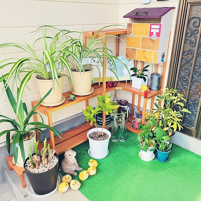 Mariさんの部屋