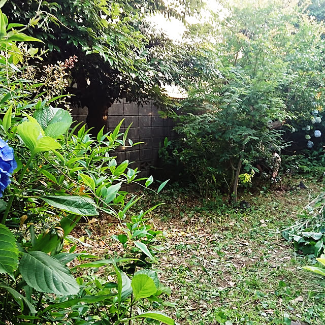 nihonkaokuさんの実例写真