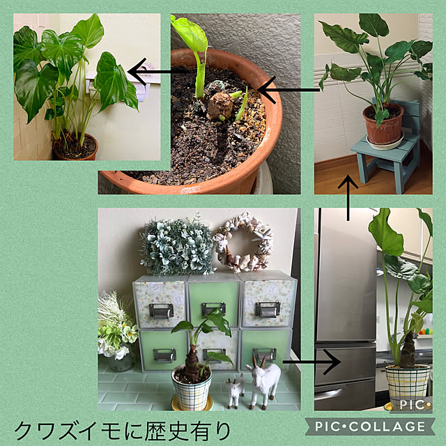 mizucchiさんの実例写真