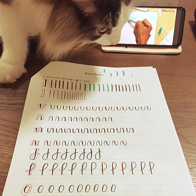 実例写真