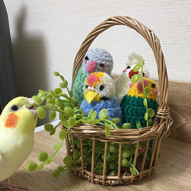 toratanさんの実例写真