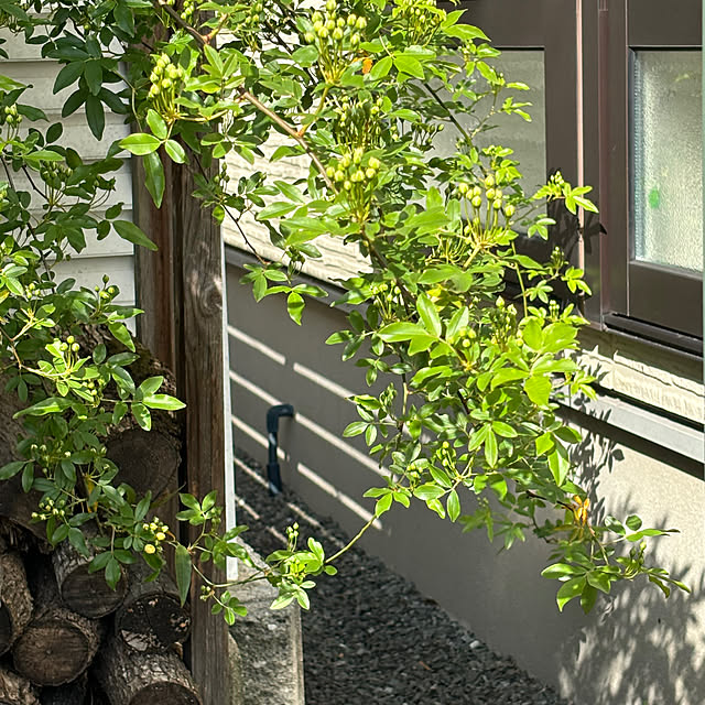 ayomoyuさんの部屋