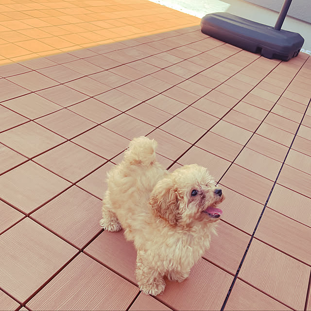 peachさんの実例写真