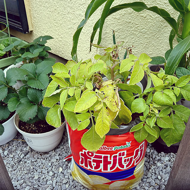 enotasoさんの部屋