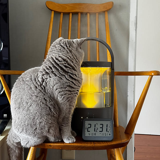 chulashihoさんの実例写真