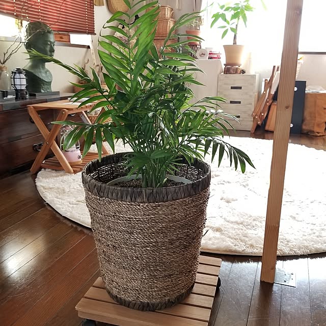 midoriさんの部屋