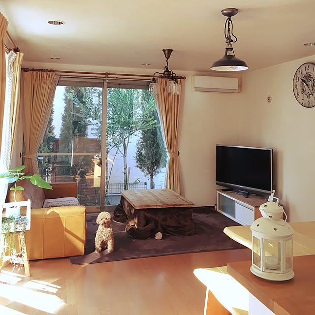 実例写真