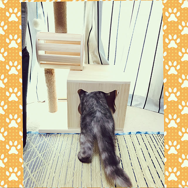 Marinさんの実例写真