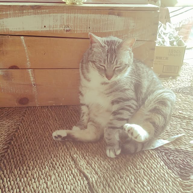 annさんの実例写真