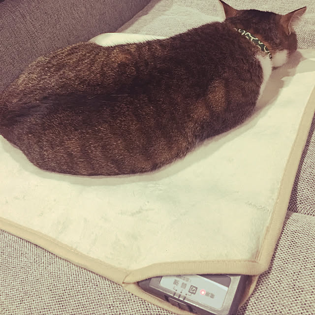 Kasumiさんの実例写真
