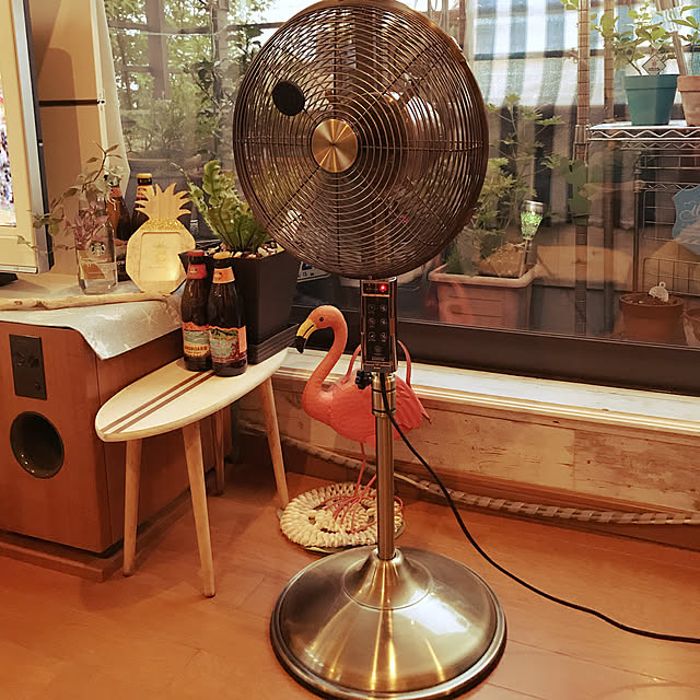 ariceさんの実例写真
