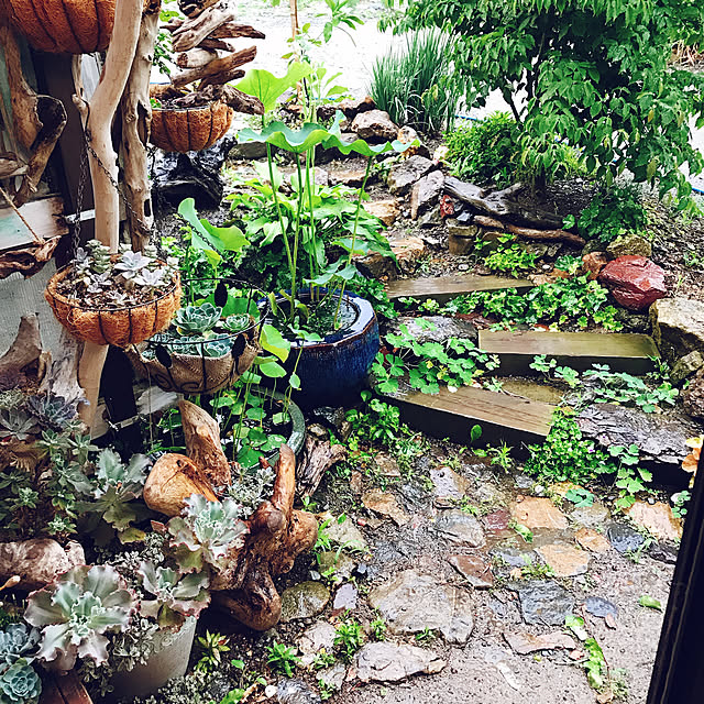 pepeさんの実例写真
