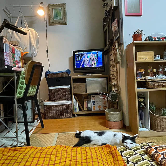 nobikoさんの部屋