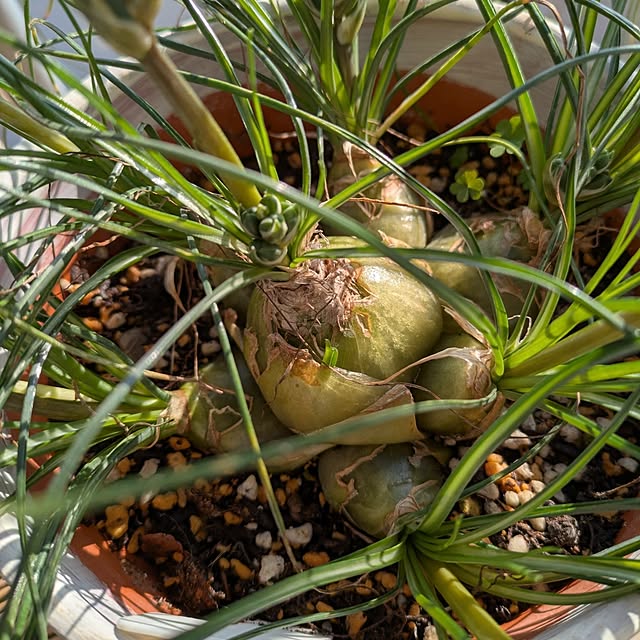 toramamaさんの部屋