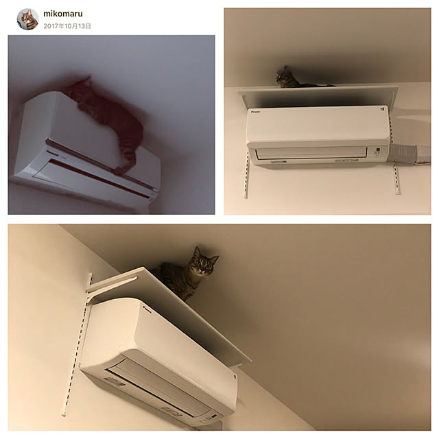 mikomaruさんの実例写真