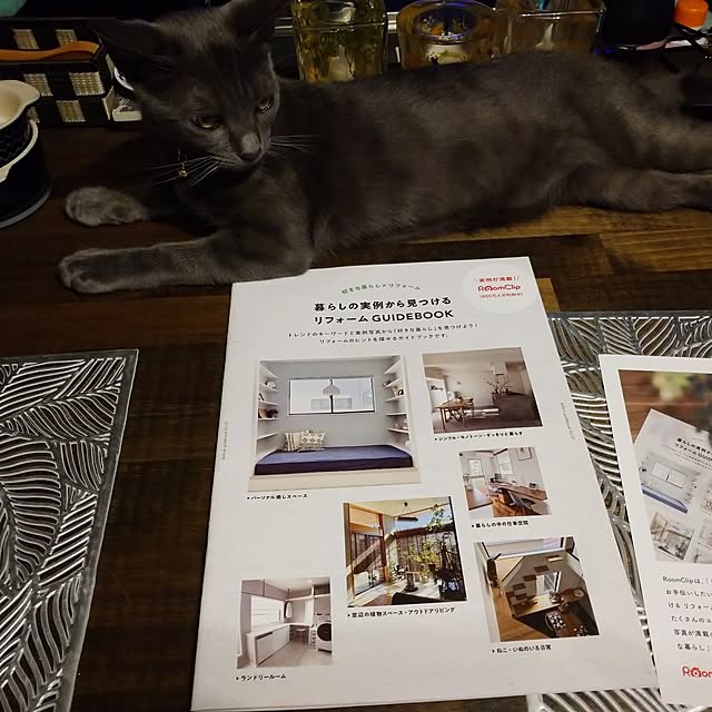 raraさんの実例写真
